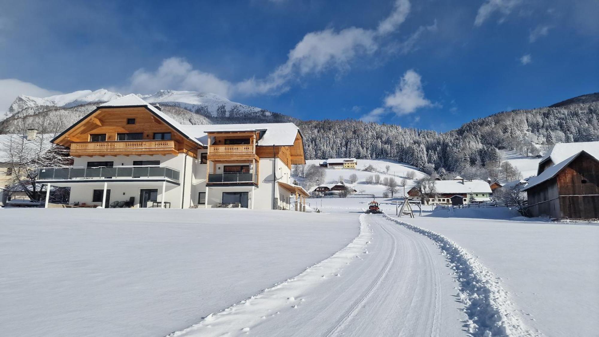Ferienwohnung Moamoosgut Goriach  Exterior foto